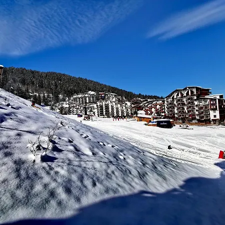 Apartment Chaleureux T2 La Tania Pieds Des Pistes