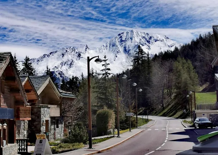 Apartment Chaleureux T2 La Tania Pieds Des Pistes
