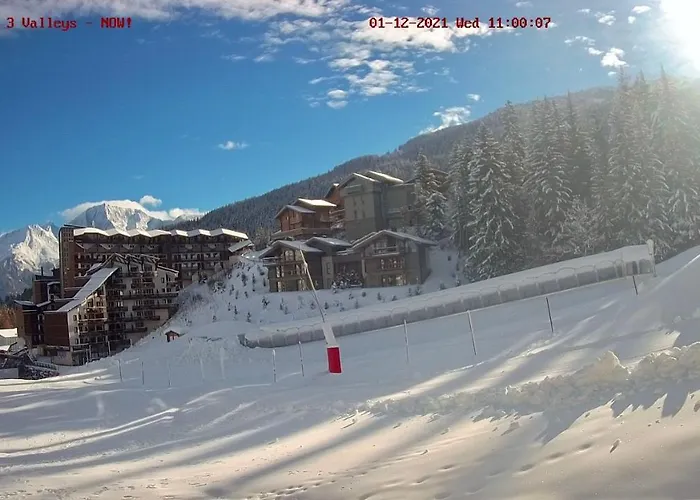 Chaleureux T2 La Tania Pieds Des Pistes * 谷雪维尔