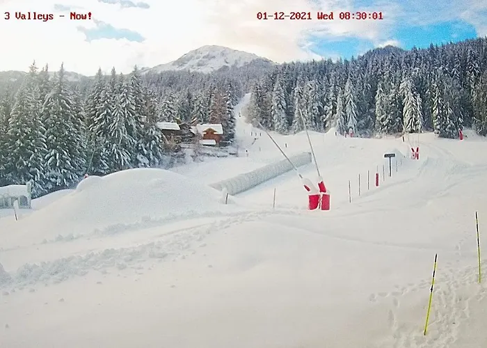 Chaleureux T2 La Tania Pieds Des Pistes 公寓 谷雪维尔